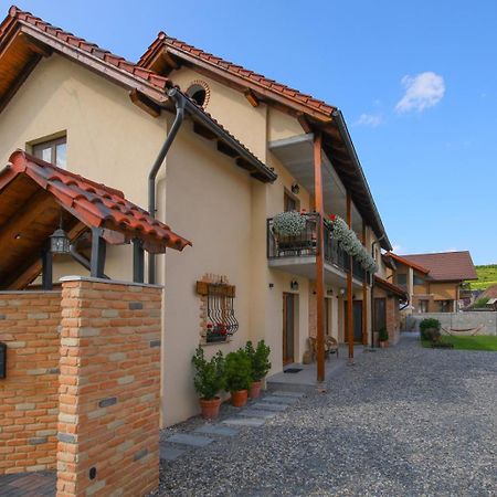 Ama Guest House Turda Zewnętrze zdjęcie